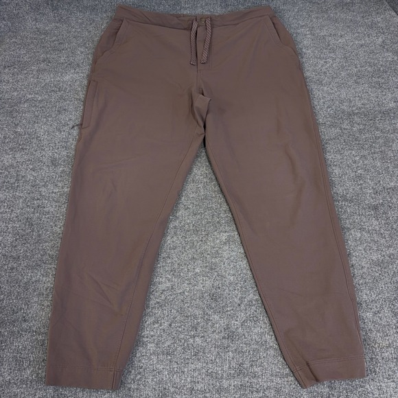 Patagonia Other - Patagonia Jogger Pants Mens 2XL Dusky Brown Skyline Traveler Elastic Waist 56800